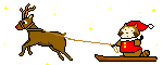 raccoonani3.gif (5399 bytes)